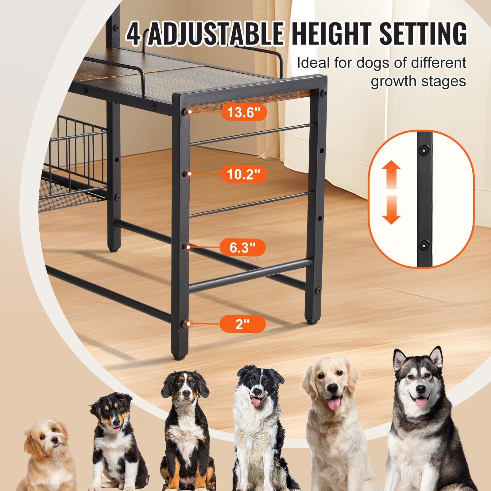 Elevate Your Dog's Dining & Tidy Your Home All in One - image 2