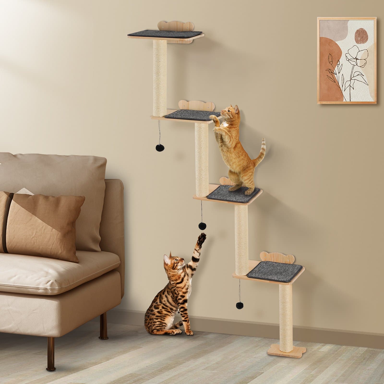 Transform Your Walls into a Feline Adventure Park