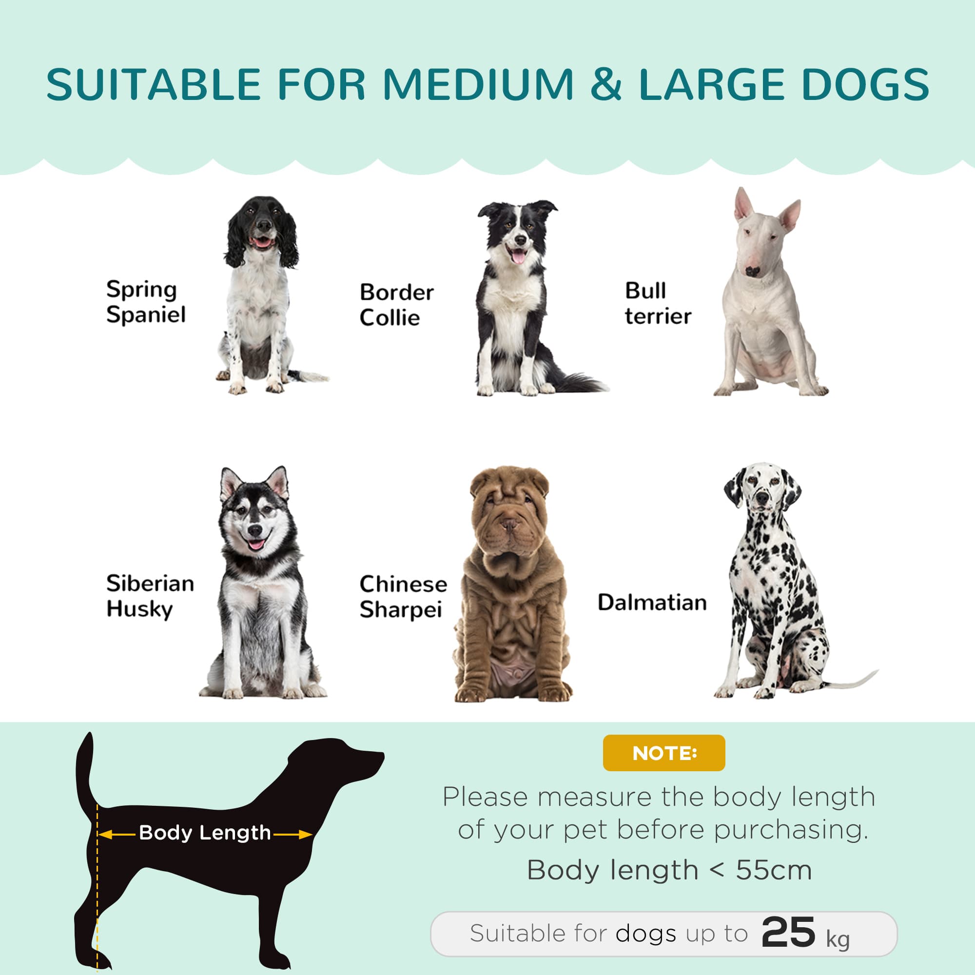 PawHut Luxury Green Dog Sofa Bed for Medium & Large Dogs - image 4
