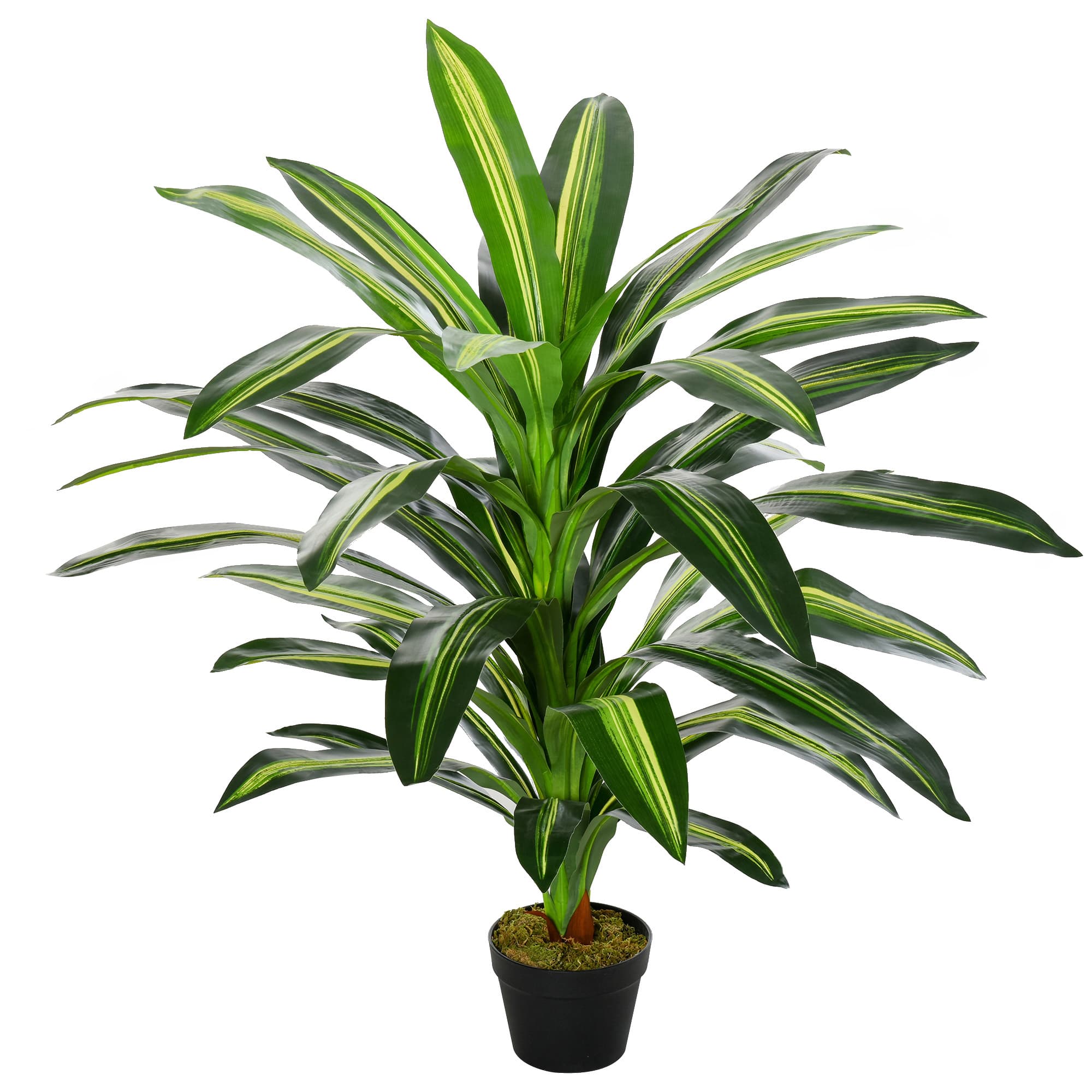 Artificial Dracaena Plant in Pot for Indoor Greenery
