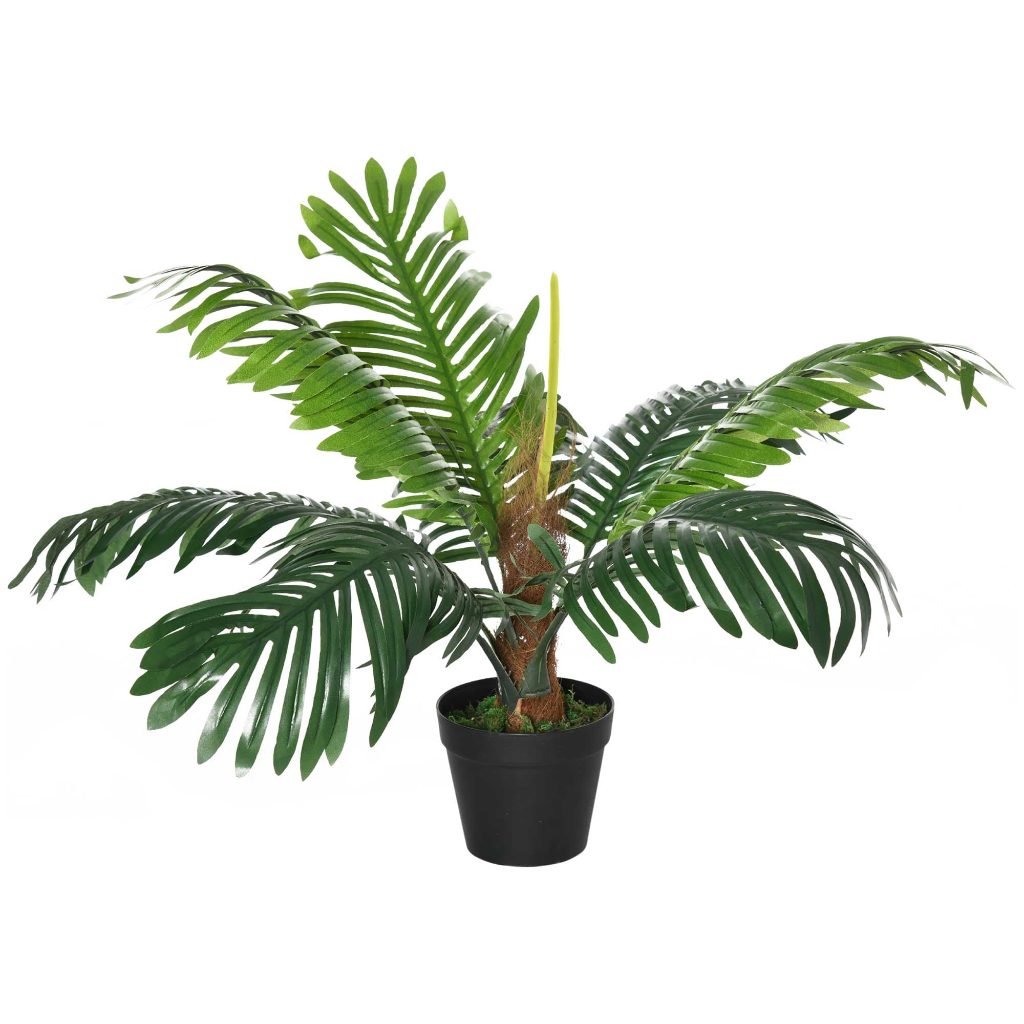Instant Tropical Greenery with No Maintenance Required - image 8