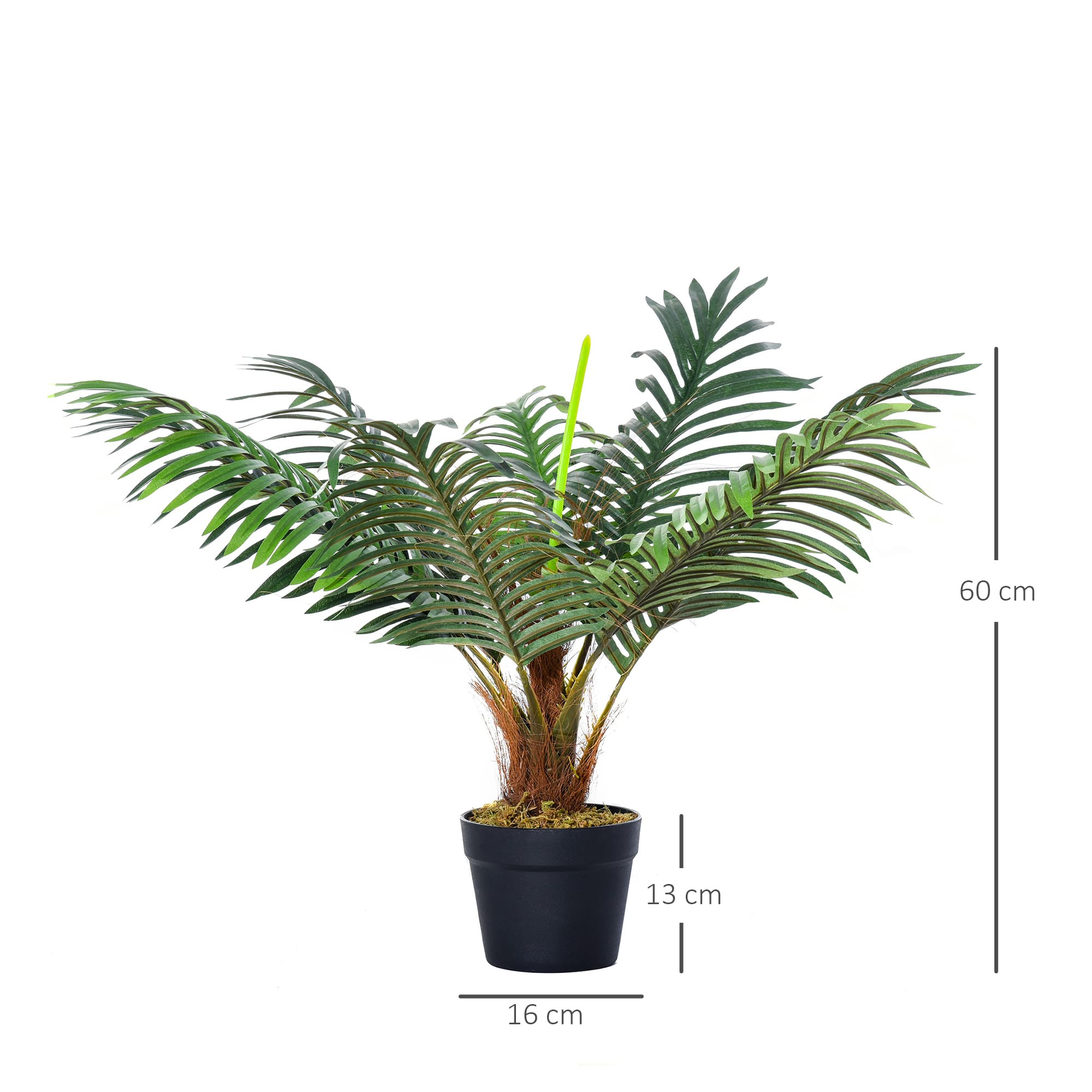 Instant Tropical Greenery with No Maintenance Required - image 6