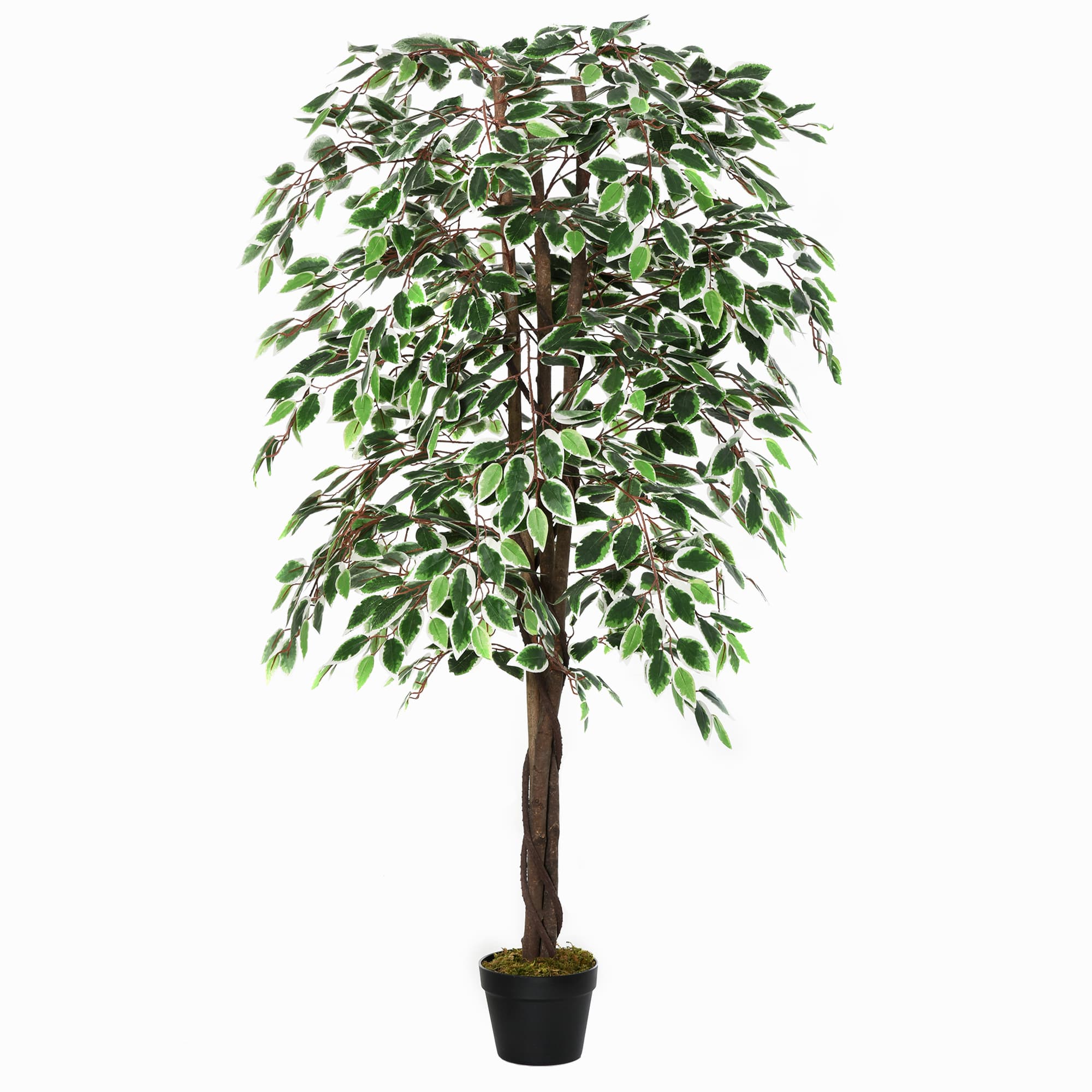 Transform Your Space with this Effortless 160cm Ficus Tree - Green