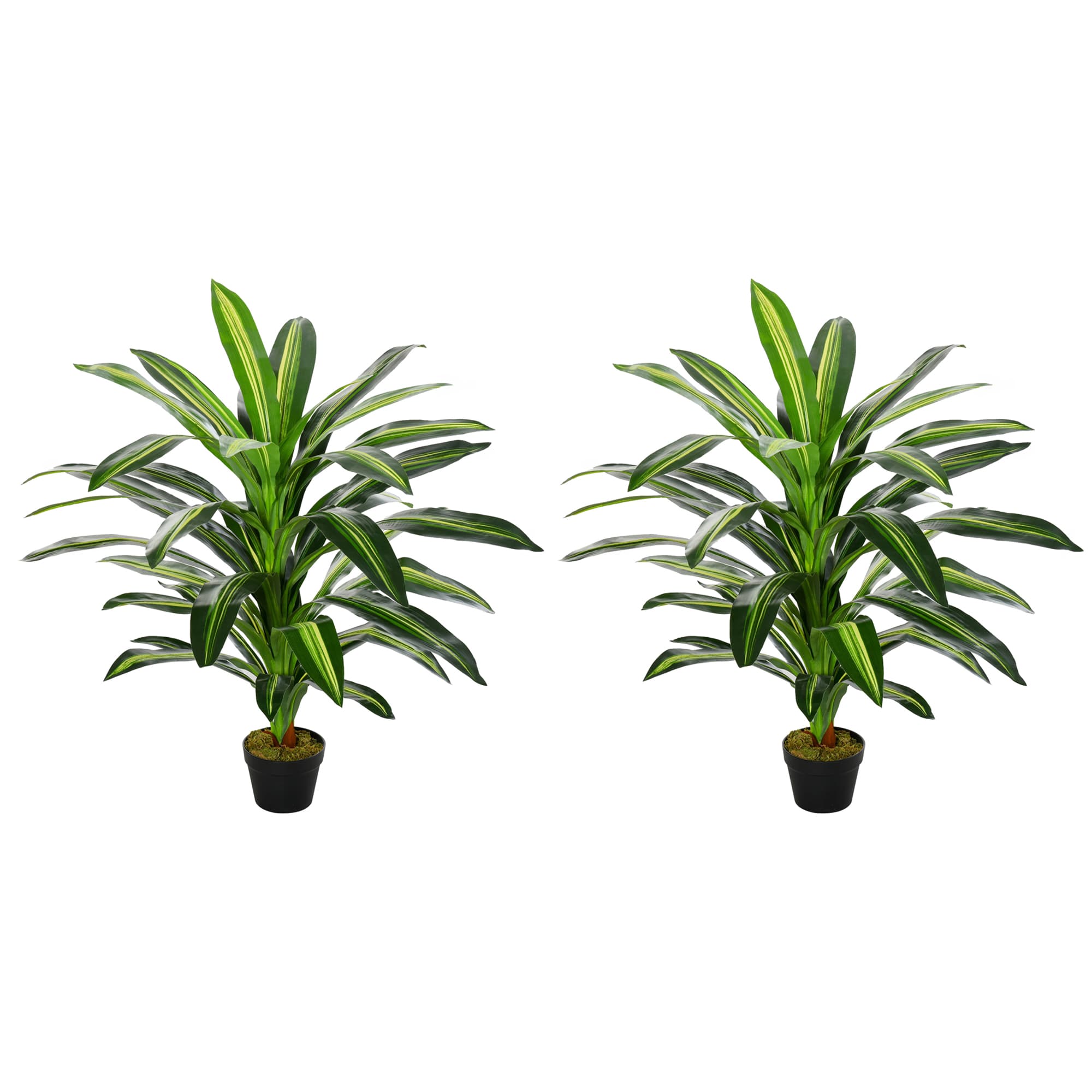 Two Artificial Dracaena Plants in Black Pots, Zero Maintenance - Green