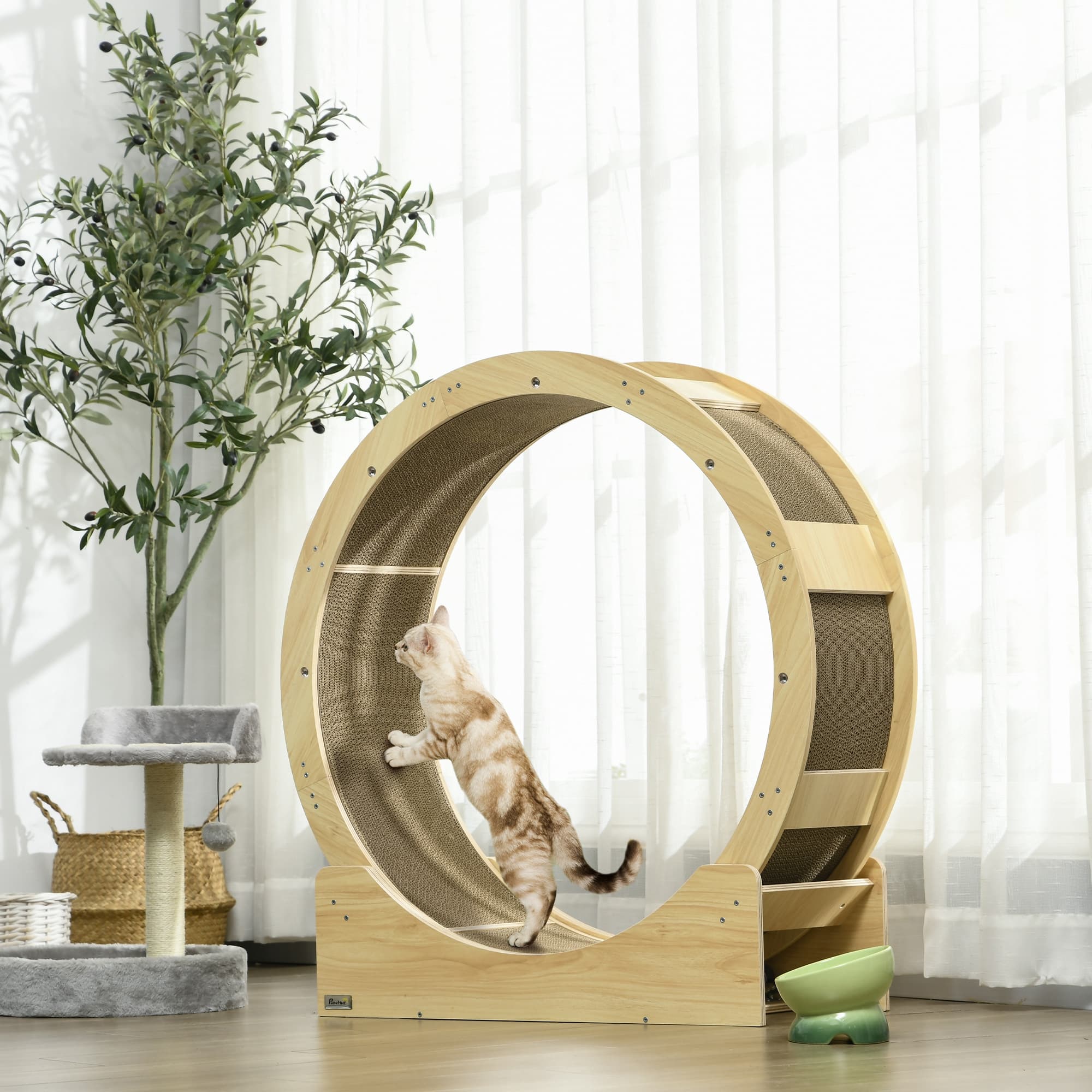 Wooden Cat Exercise Wheel with Integrated Scratching Pads - image 6
