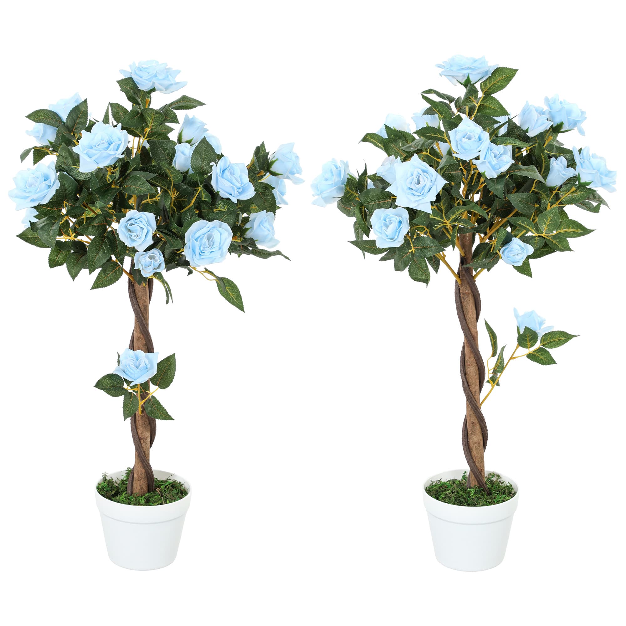 Faux Blue Rose Trees 90cm — Set of 2 in White Pots with Moss