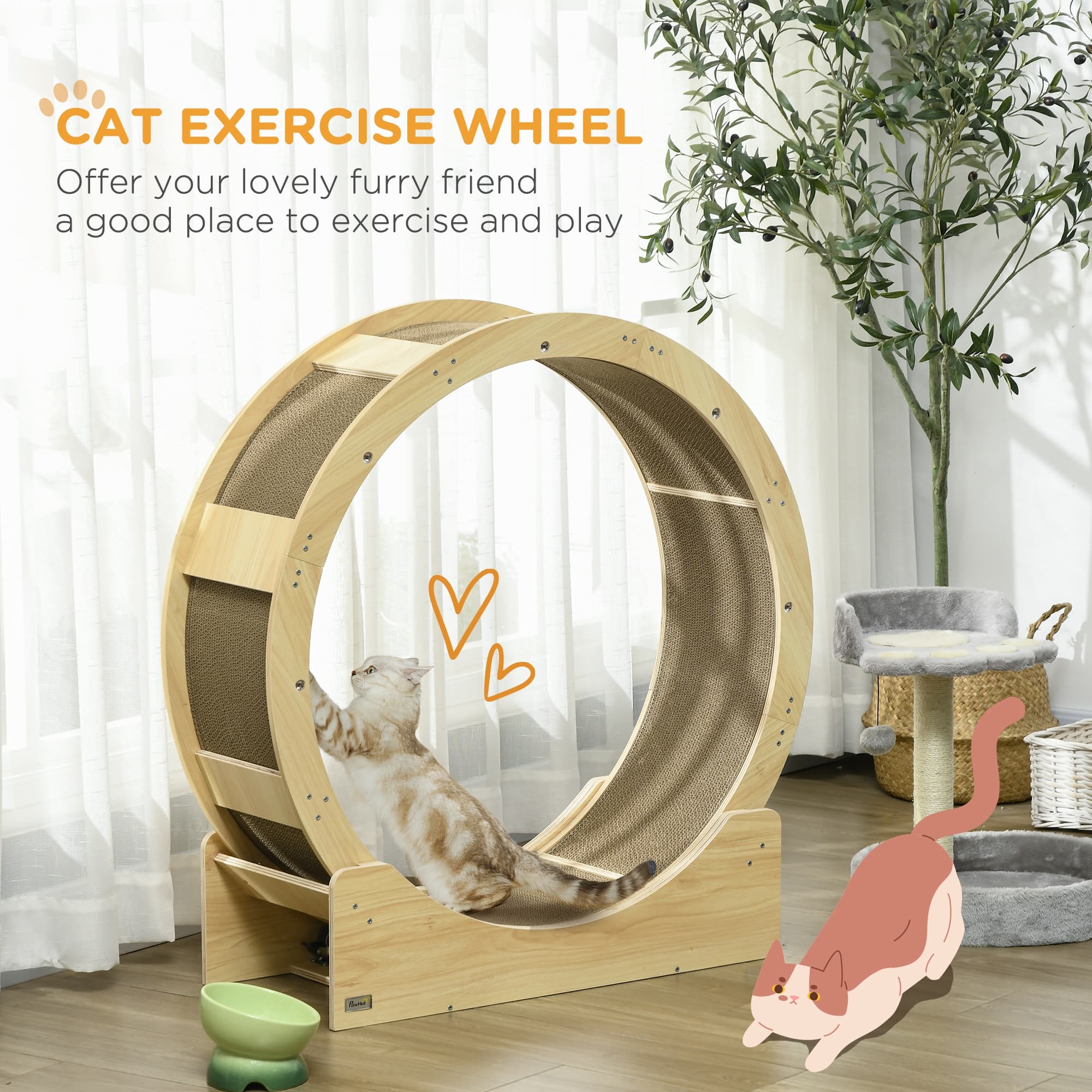 Wooden Cat Exercise Wheel with Integrated Scratching Pads - image 8