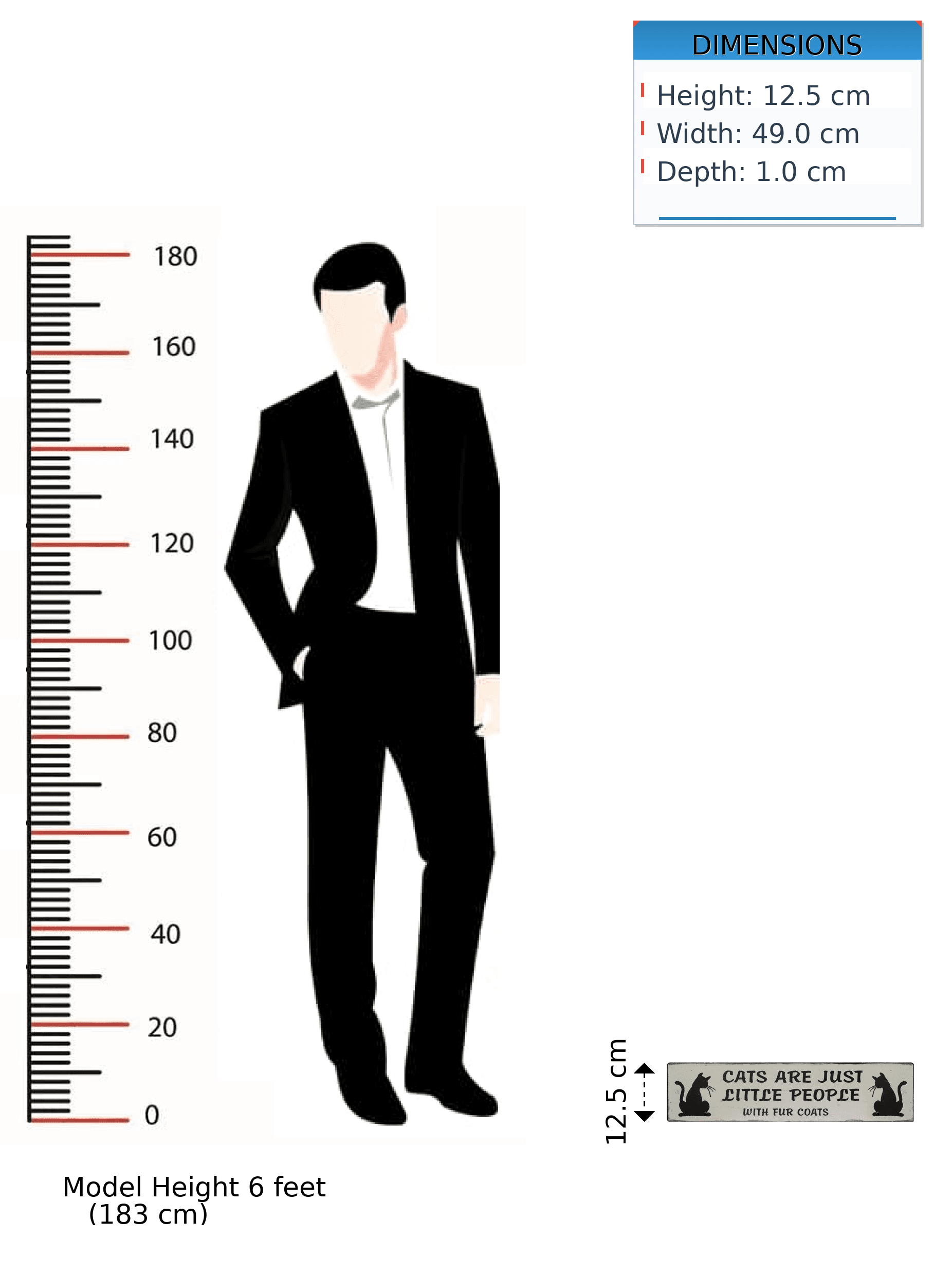 Celebrate Your Feline Friend with This Charming Wall Plaque - image 2