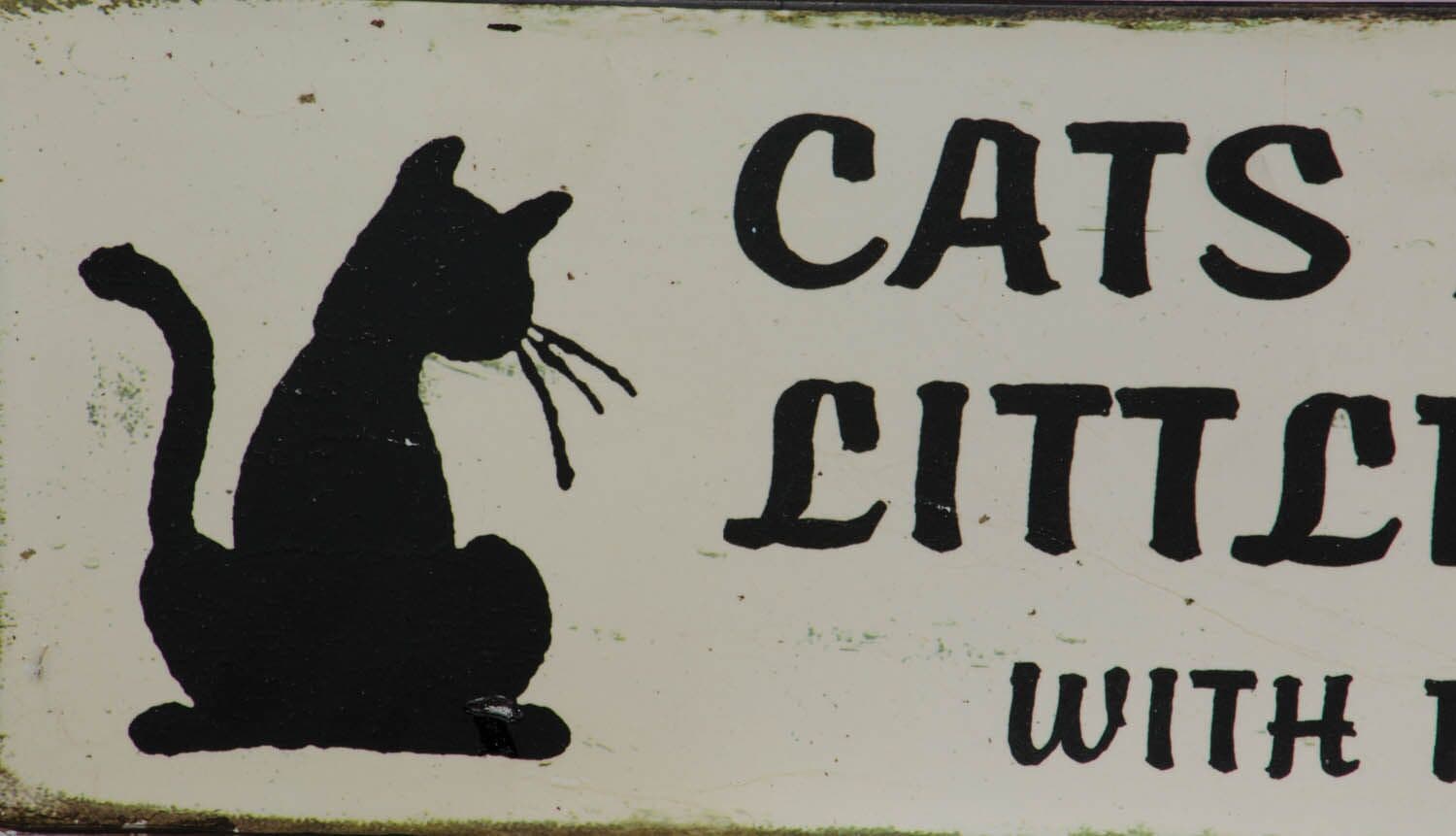 Celebrate Your Feline Friend with This Charming Wall Plaque - image 5