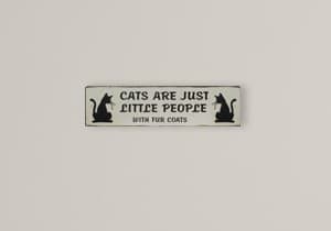 Celebrate Your Feline Friend with This Charming Wall Plaque - image 3