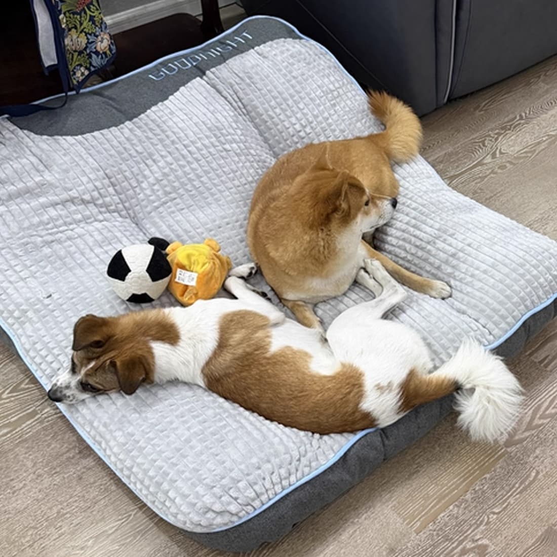 Premium Light Brown Dog Sofa Bed for Ultimate Comfort - image 3