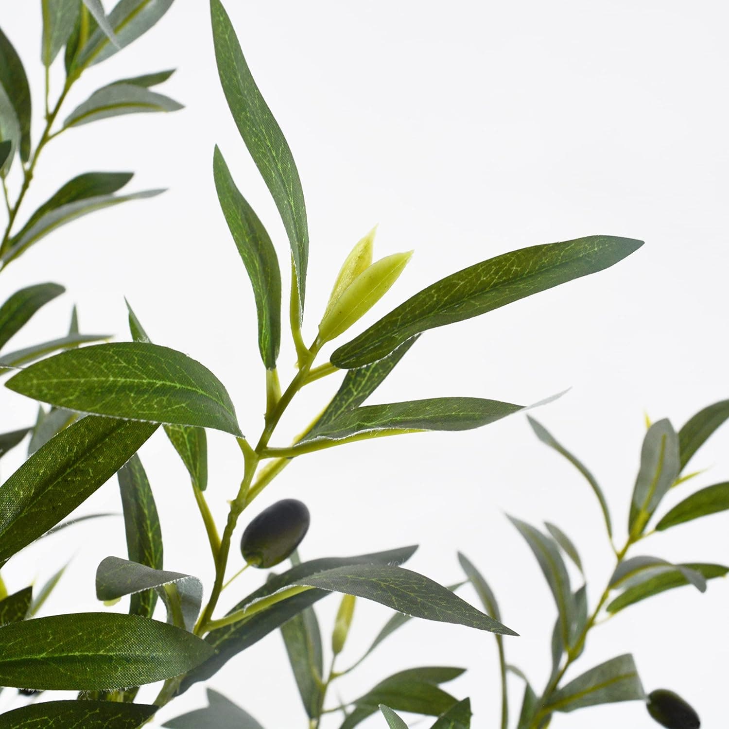 Compact Walk-In Greenhouse with 4 Shelving Tiers - image 28