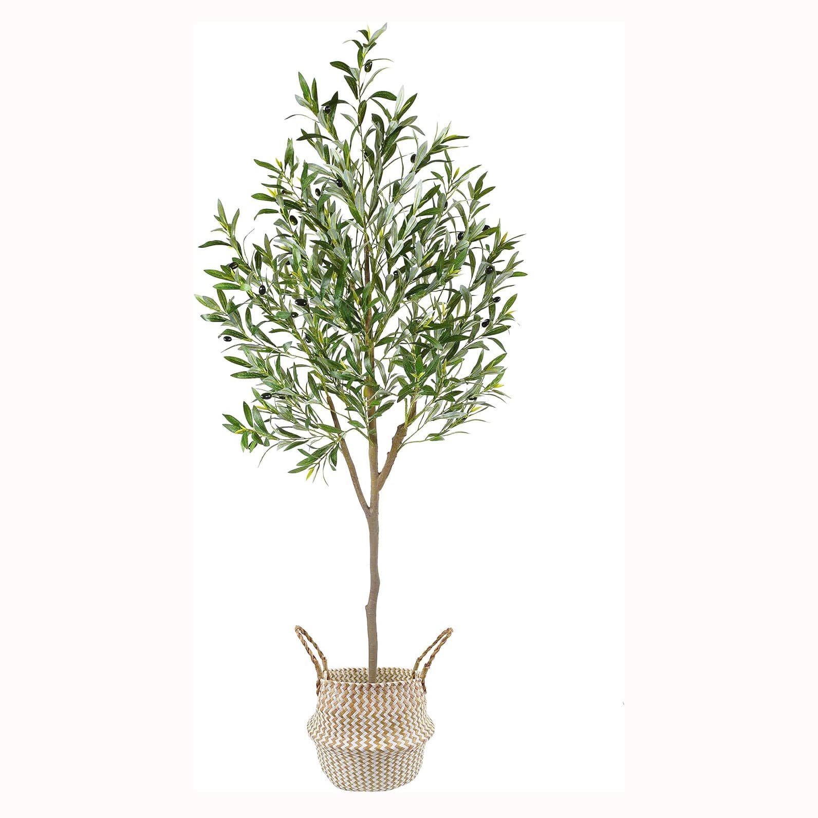 Compact Walk-In Greenhouse with 4 Shelving Tiers - image 10