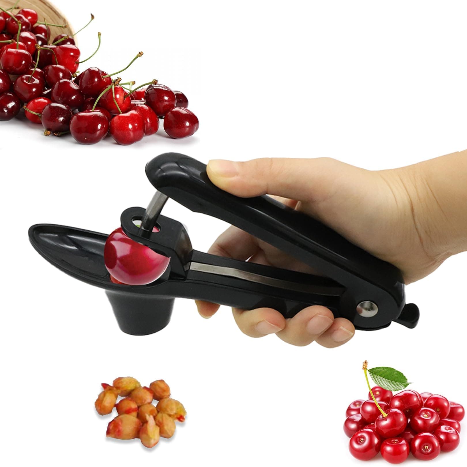 Complete Feeding Station for Your Pet - image 2