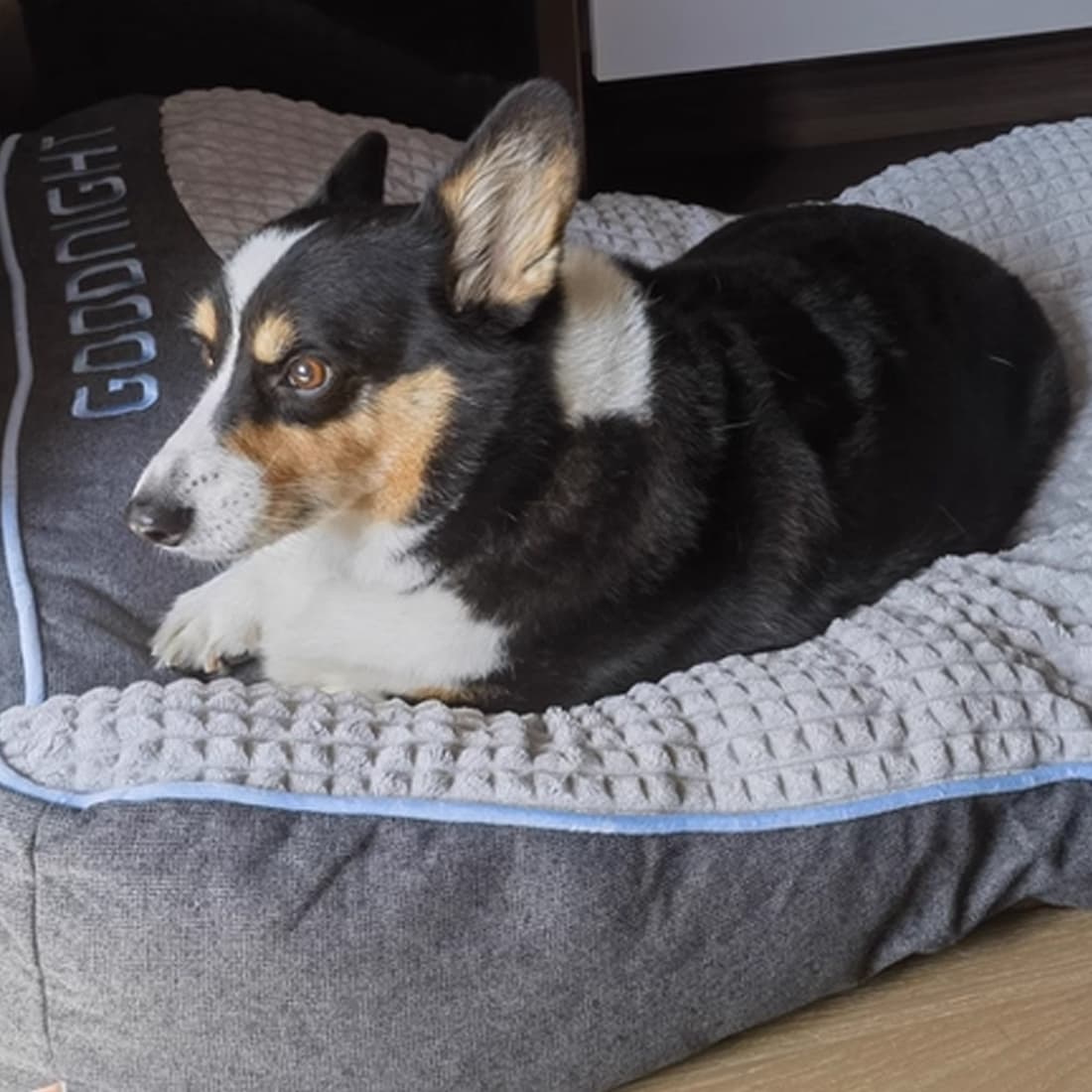 Premium Light Brown Dog Sofa Bed for Ultimate Comfort - image 9