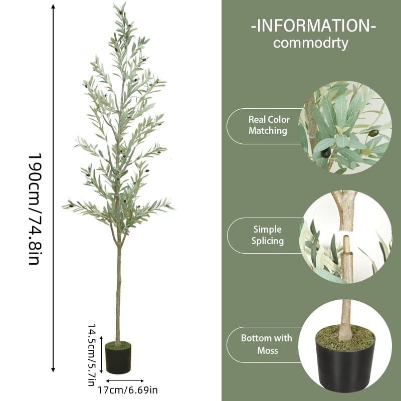 Bring Mediterranean Charm Home with a Lifelike Olive Tree