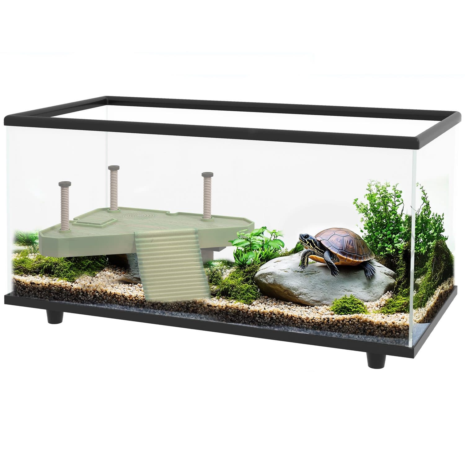 50L Glass Turtle Tank with Basking Platform