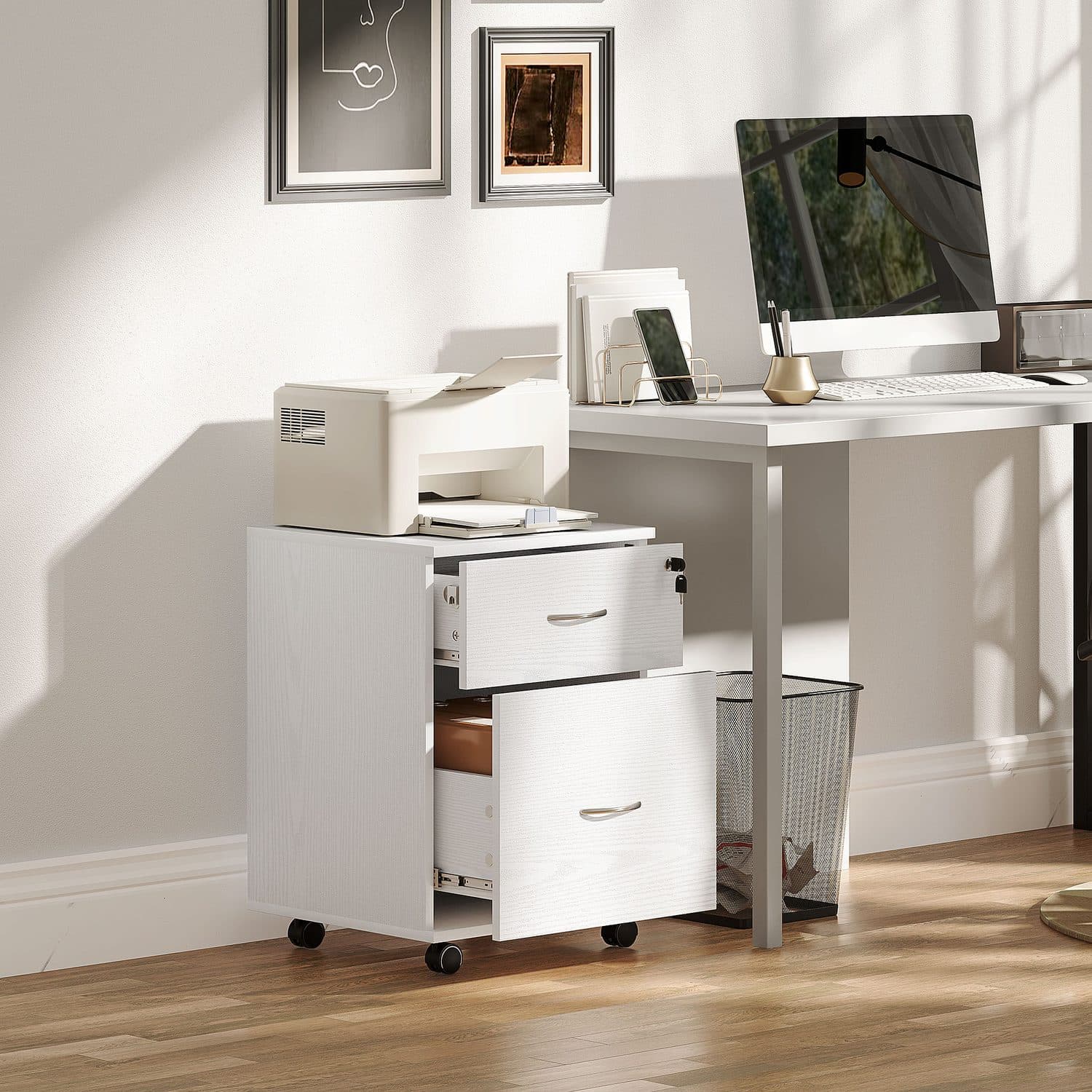 Two Drawer Lockable Filing Cabinet for Home Offices - image 3