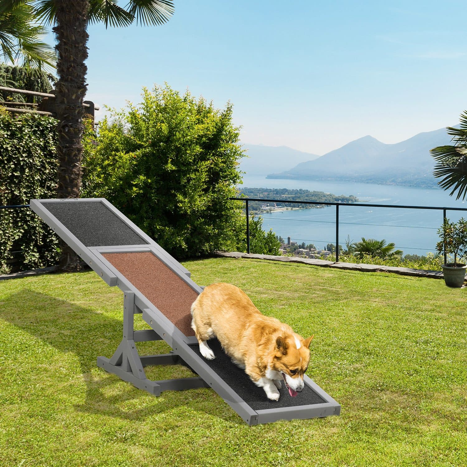 Wooden Agility Seesaw for Large Dogs - image 3
