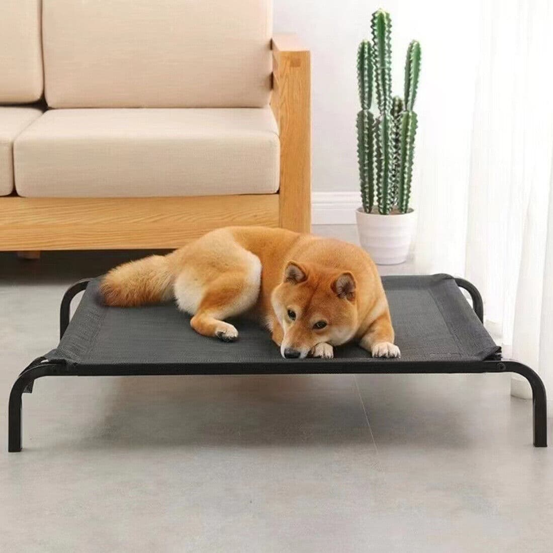 Raised Mesh Pet Cot for Cooler Everyday Rest - image 4