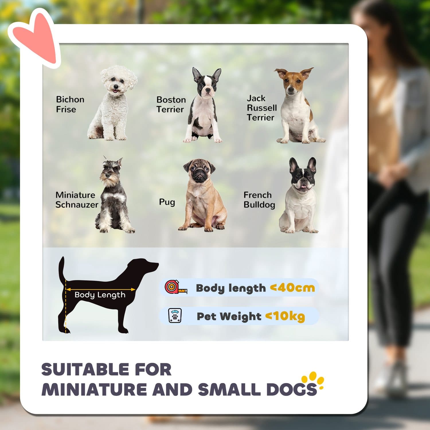 Foldable Dog Stroller with Dual Rear Brakes & Safety Leashes - image 1