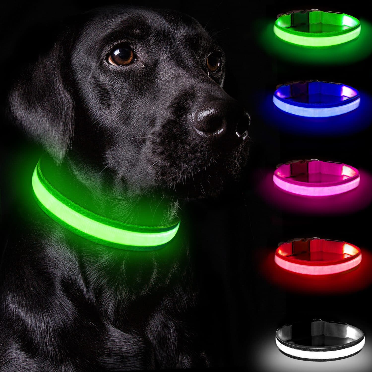 Rechargeable LED Dog Collar for High-Visibility Night Walks