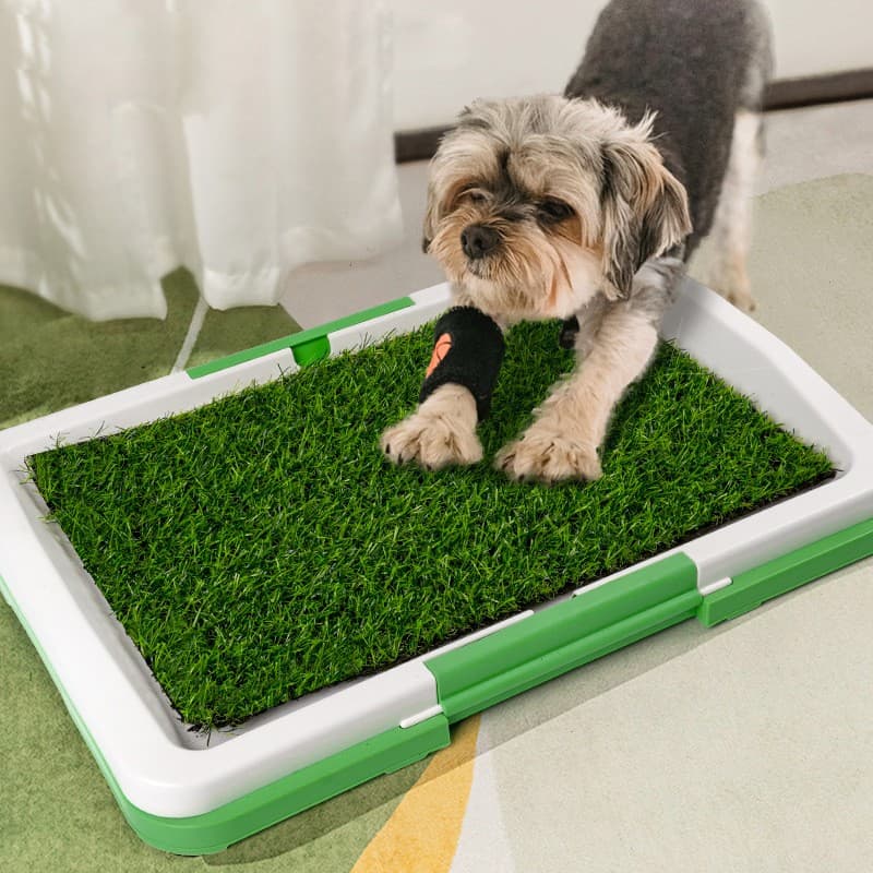 Puppy Potty Training Pad With Realistic Artificial Grass - image 1