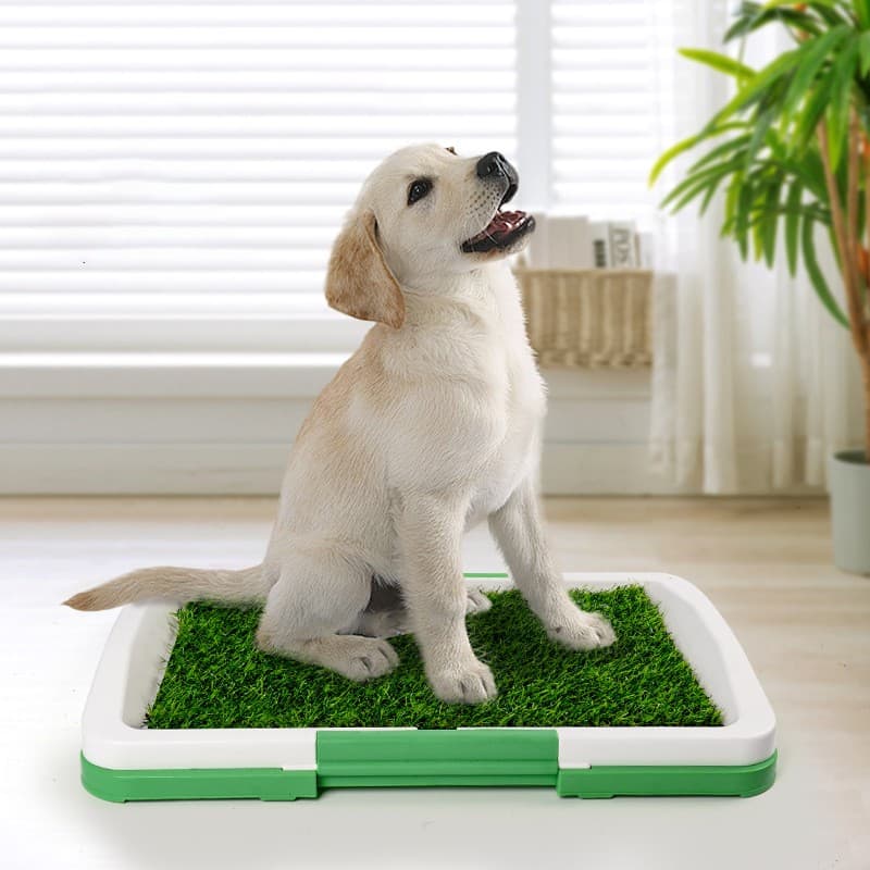 Puppy Potty Training Pad With Realistic Artificial Grass - image 6