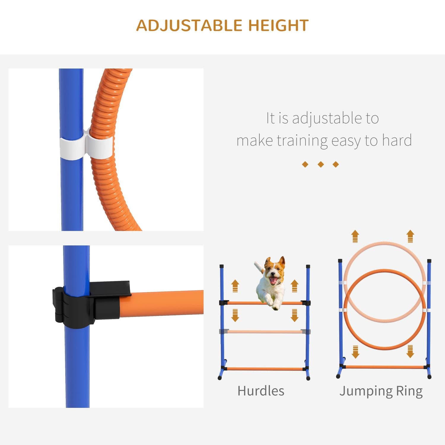 4-Piece Dog Agility Training Set with Pause Box - image 1