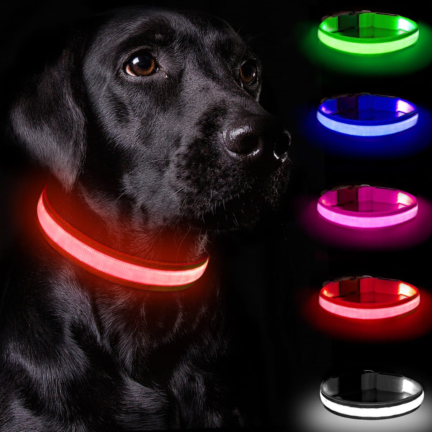Rechargeable LED Collar for Small Dogs