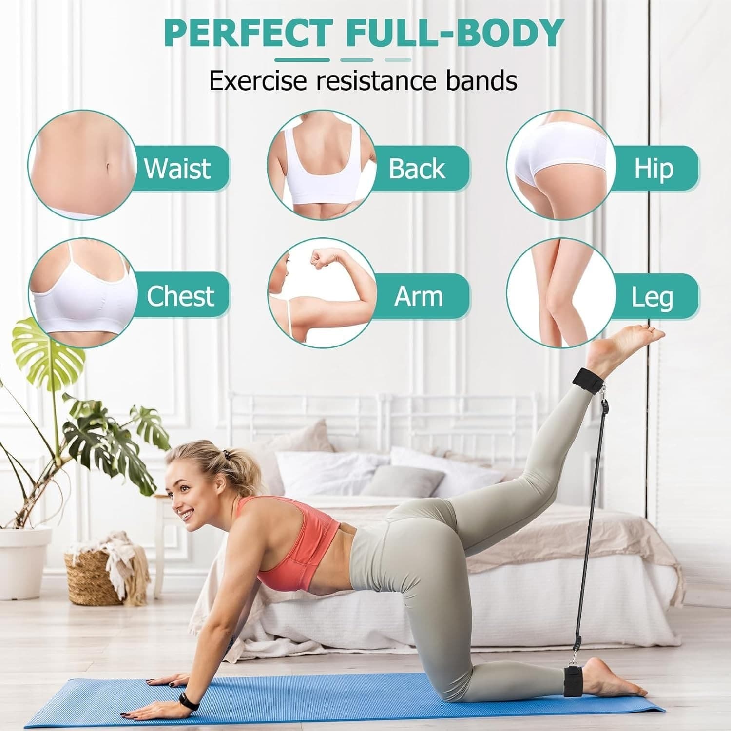 Six-Band Pilates Bar Kit for Total-Body Strength Training - image 7