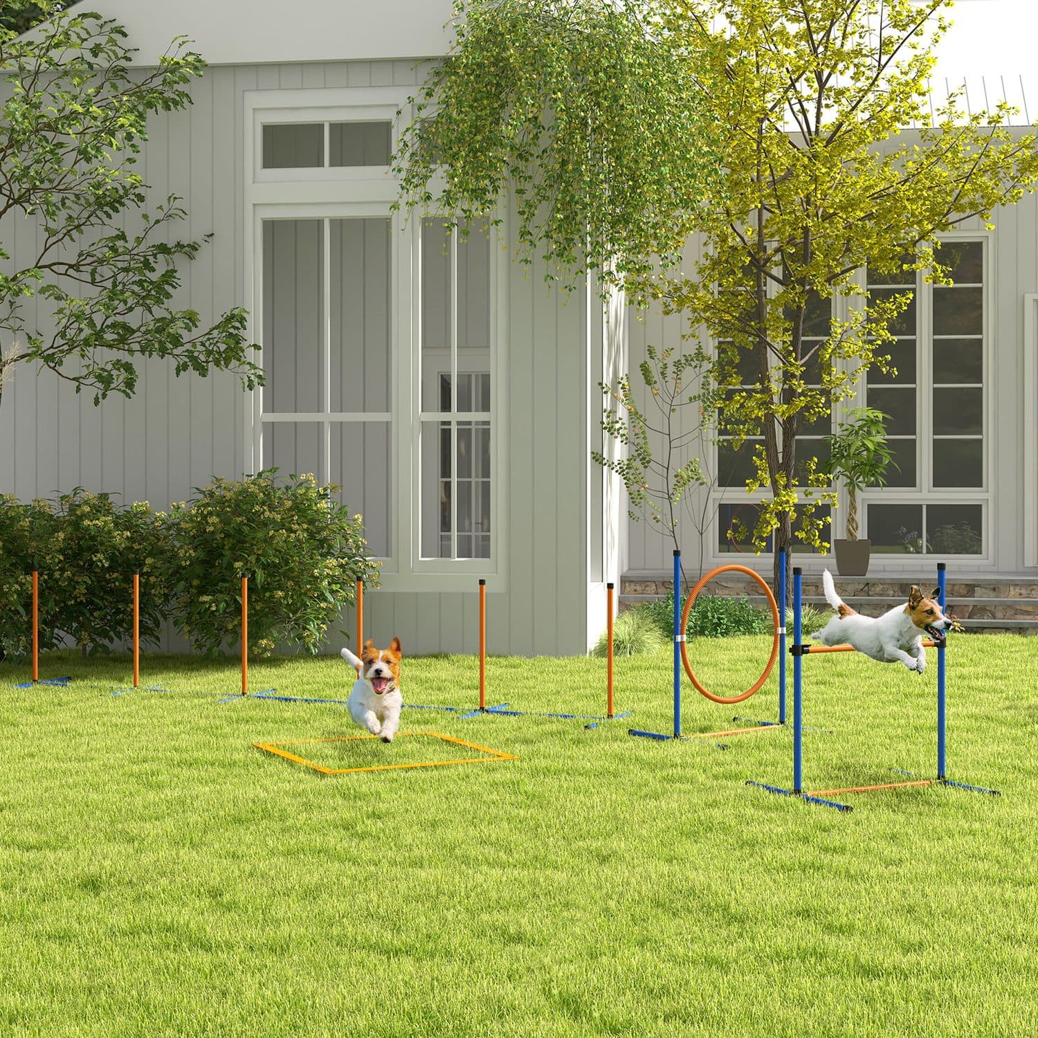 4-Piece Dog Agility Training Set with Pause Box - image 3