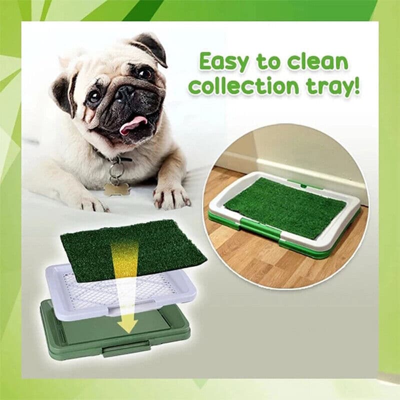 Large Indoor Dog Toilet Training Grass Mat - image 5