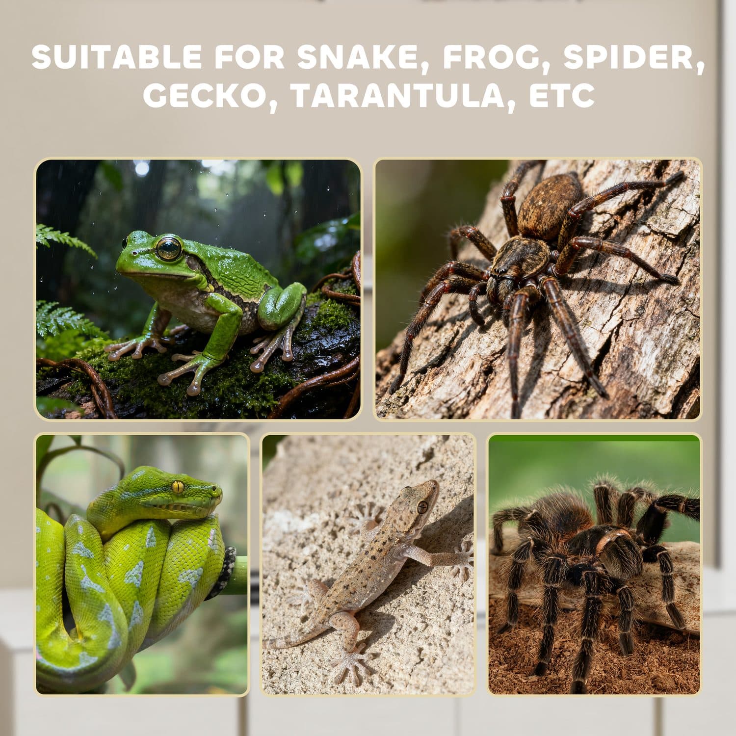 PawHut Acrylic Terrarium for Snakes, Geckos and Spiders - image 2