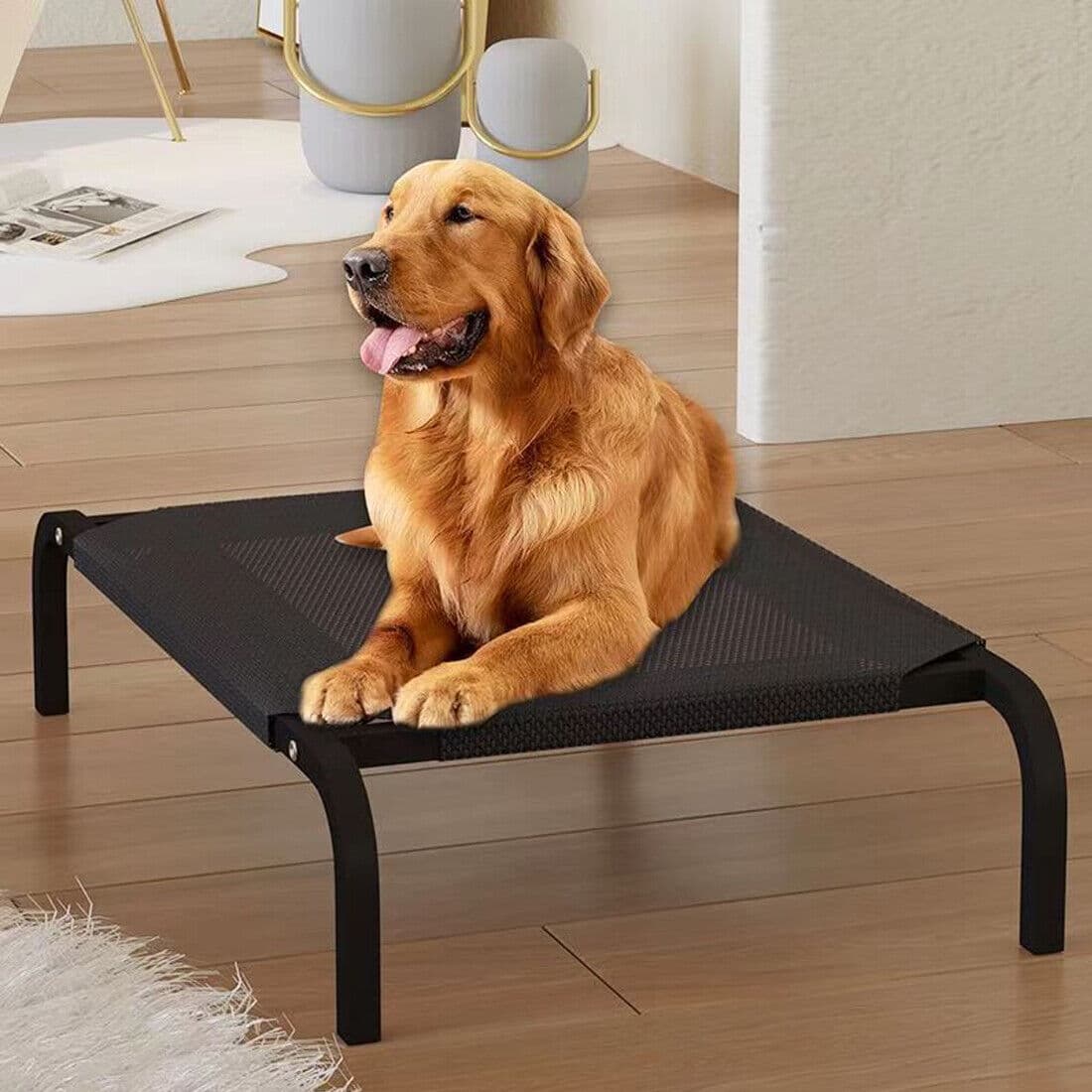 Raised Mesh Pet Cot for Cooler Everyday Rest - image 8