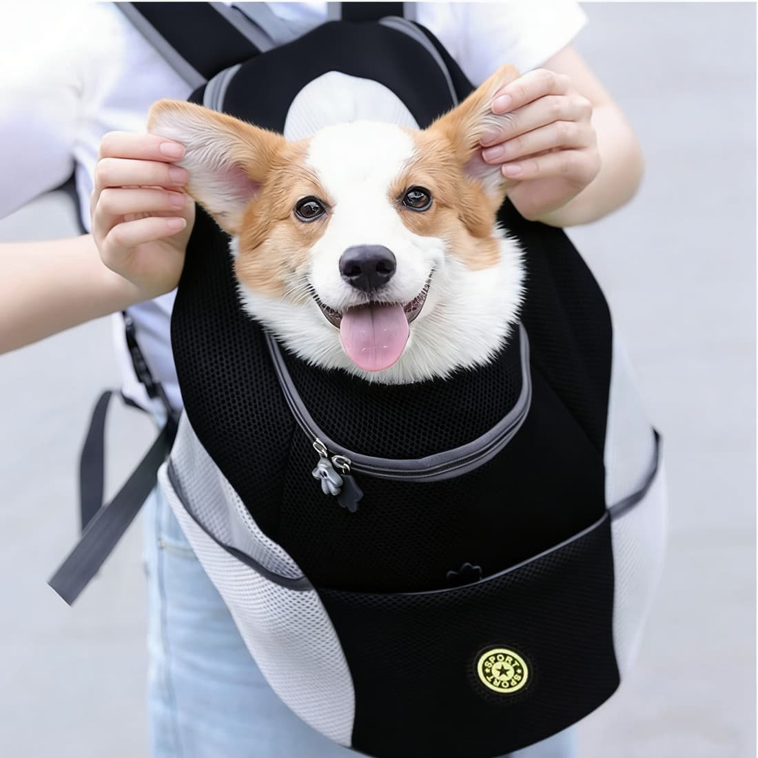 Mesh Travel Carrier Backpack for Small Pets - image 5
