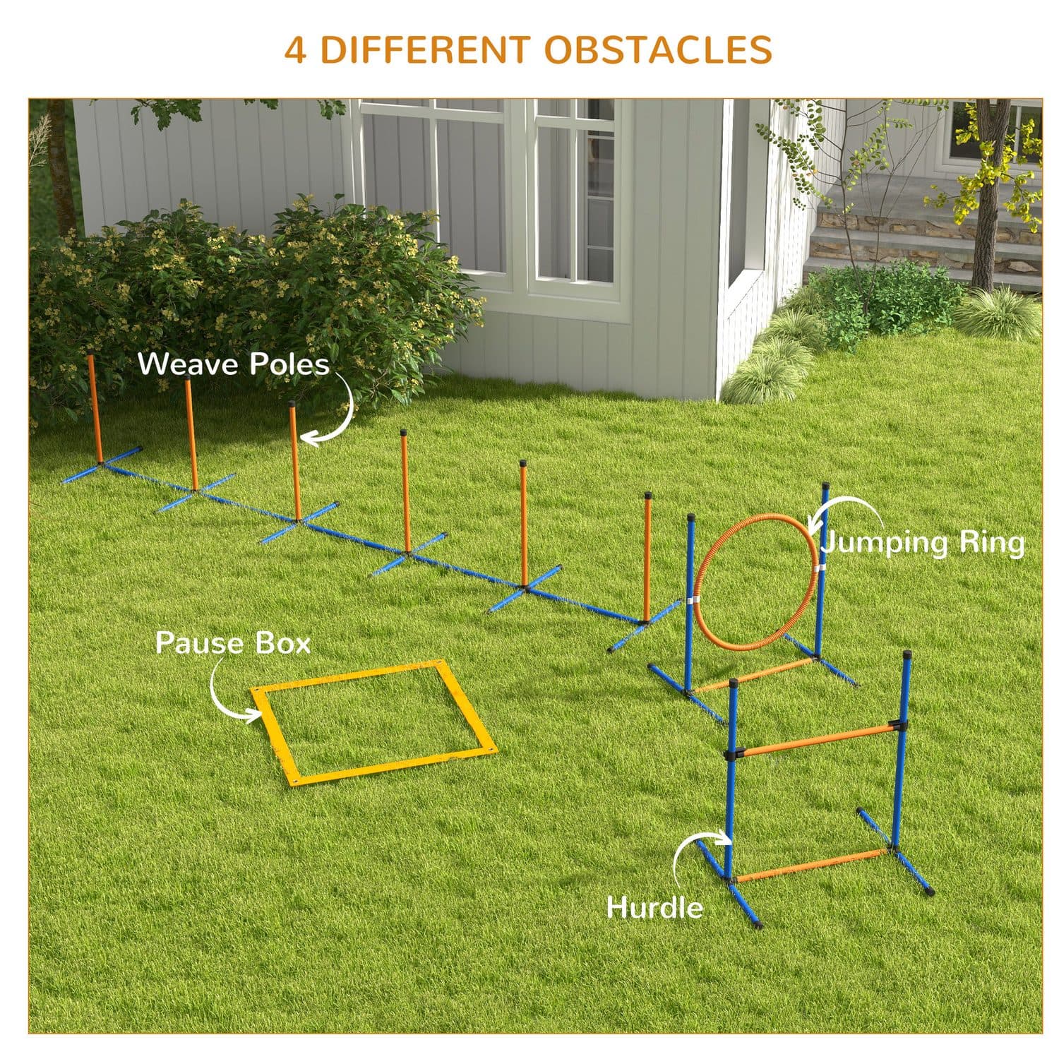 4-Piece Dog Agility Training Set with Pause Box - image 2