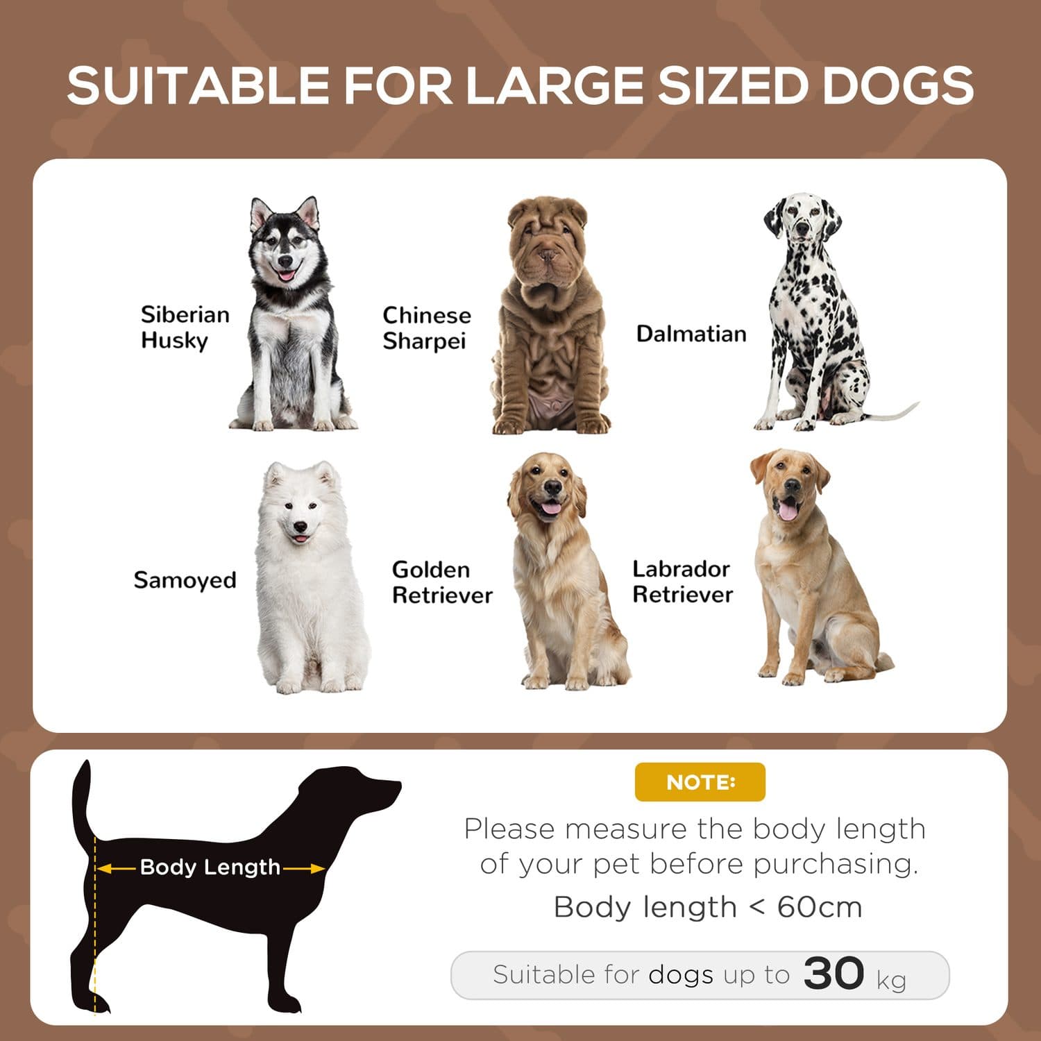 Large Elevated Dog Bed With Canopy and Breathable Mesh - image 1