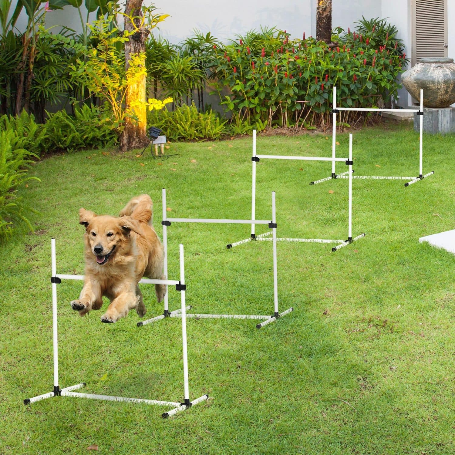 PawHut Lightweight Dog Agility Jump Set with Carrying Bag - image 3