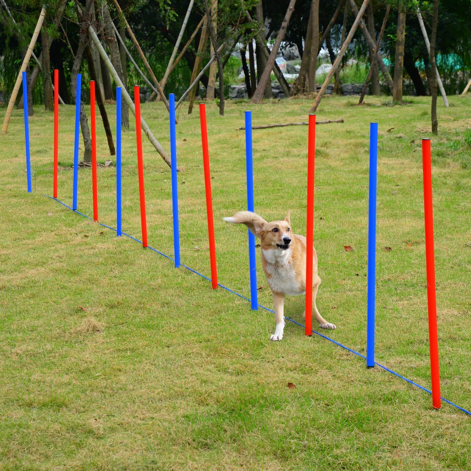 Adjustable Dog Agility Training Set - image 4