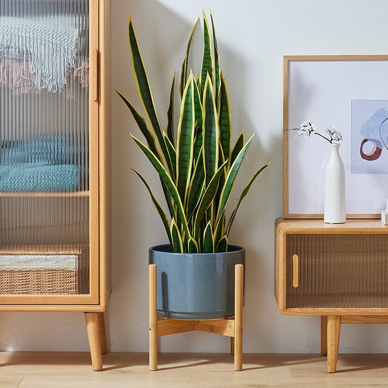 Show off indoor plants on a bamboo pot stand - image 2