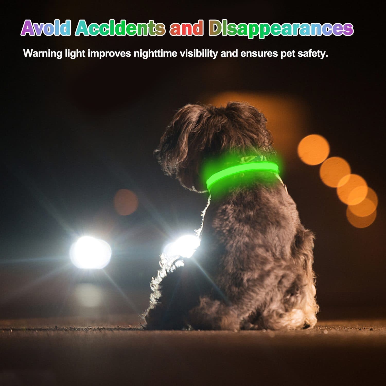 Rechargeable LED Light Up Dog Collar - Large - image 7