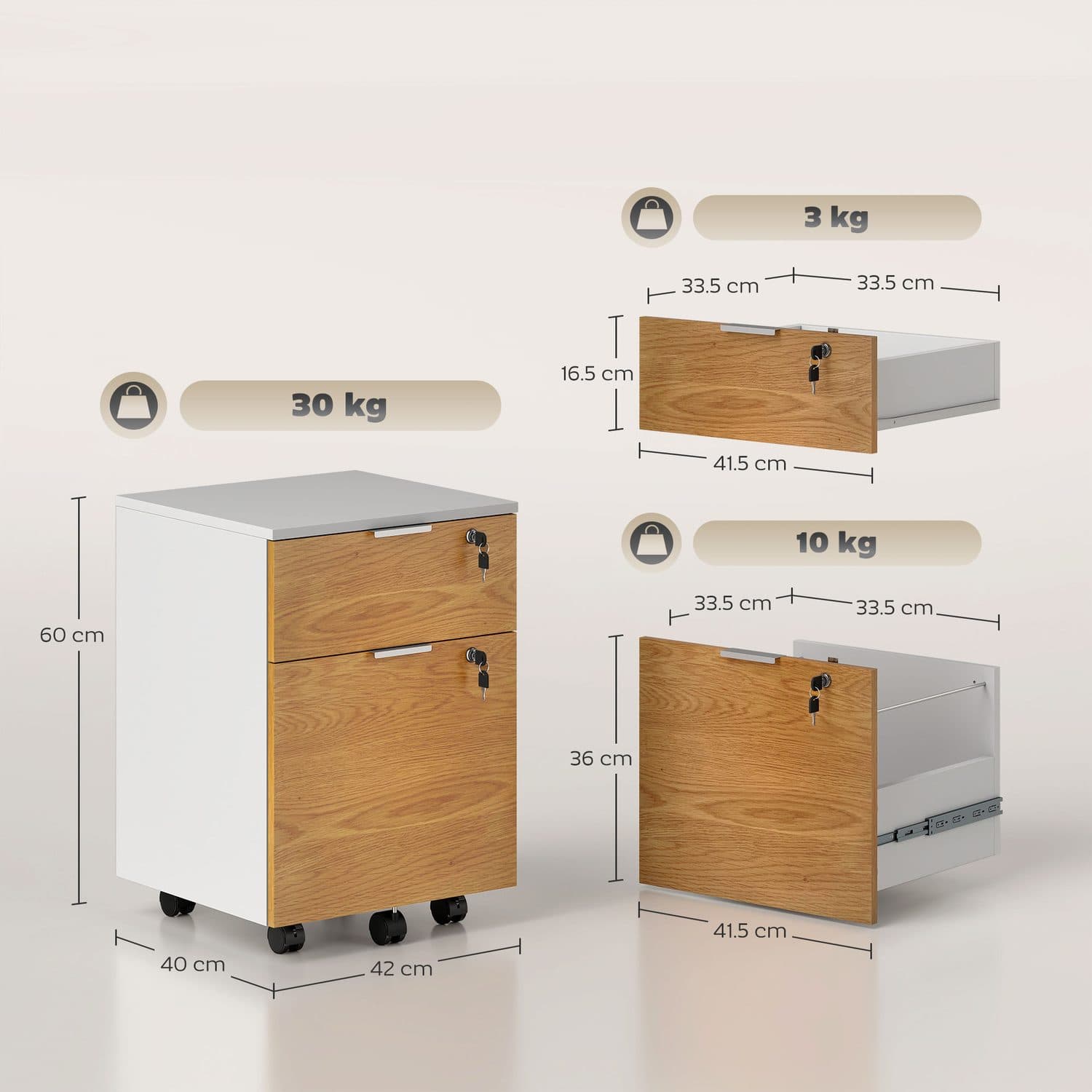 Secure Your Documents with a Mobile Filing Cabinet - image 3