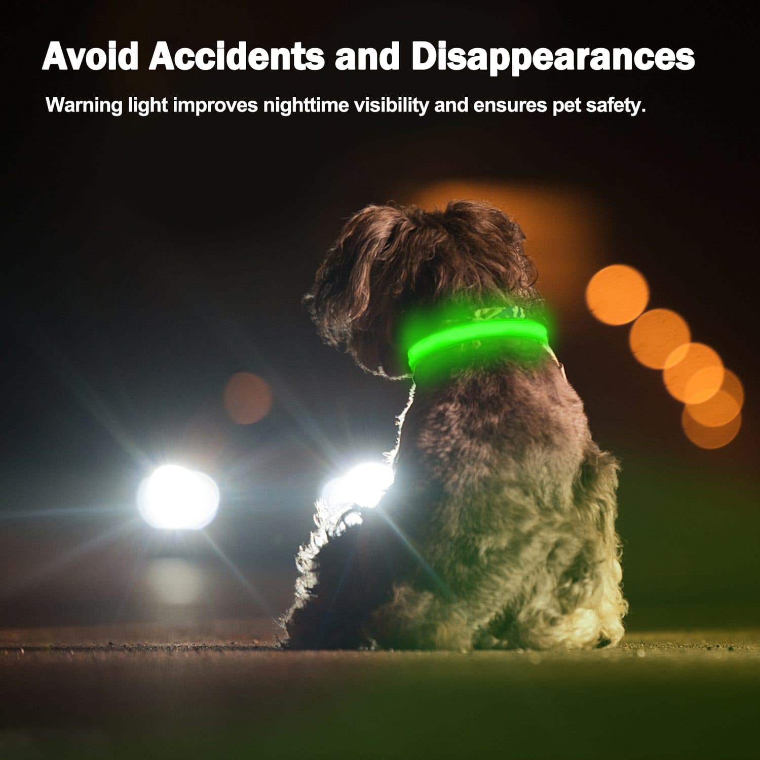 Rechargeable LED Dog Collar for High-Visibility Night Walks - image 6