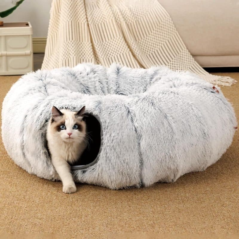Transformable Cat Tunnel Bed for Interactive Play and Rest - image 1