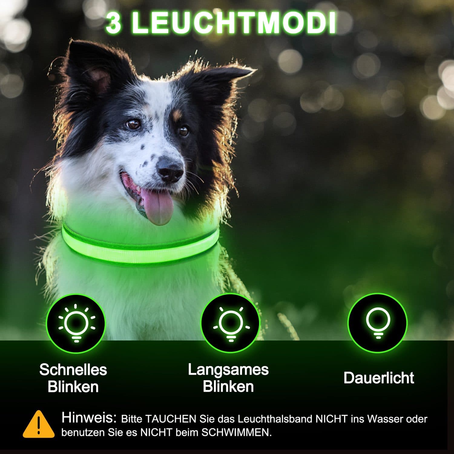 Rechargeable LED Dog Collar for High-Visibility Night Walks - image 8