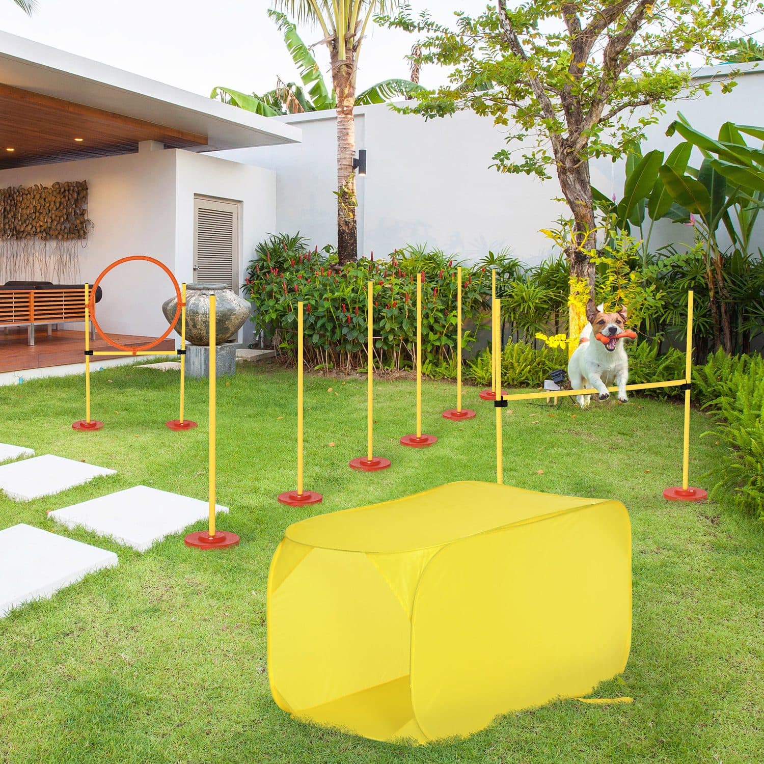 5-Piece Dog Agility Obstacle Set with Carry Bag - image 3