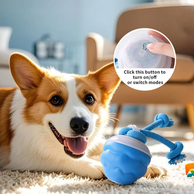 Chase Buddy Interactive Toy for Dog Boredom - image 9