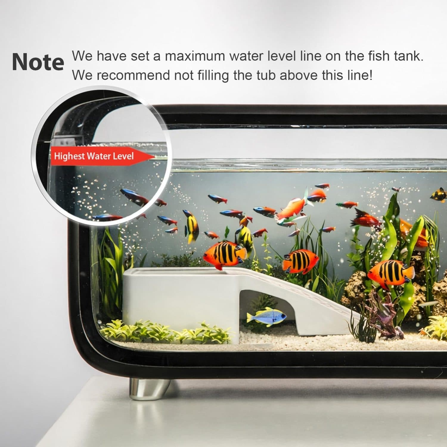 Compact Desktop Aquarium Kit for Betta Fish - image 2
