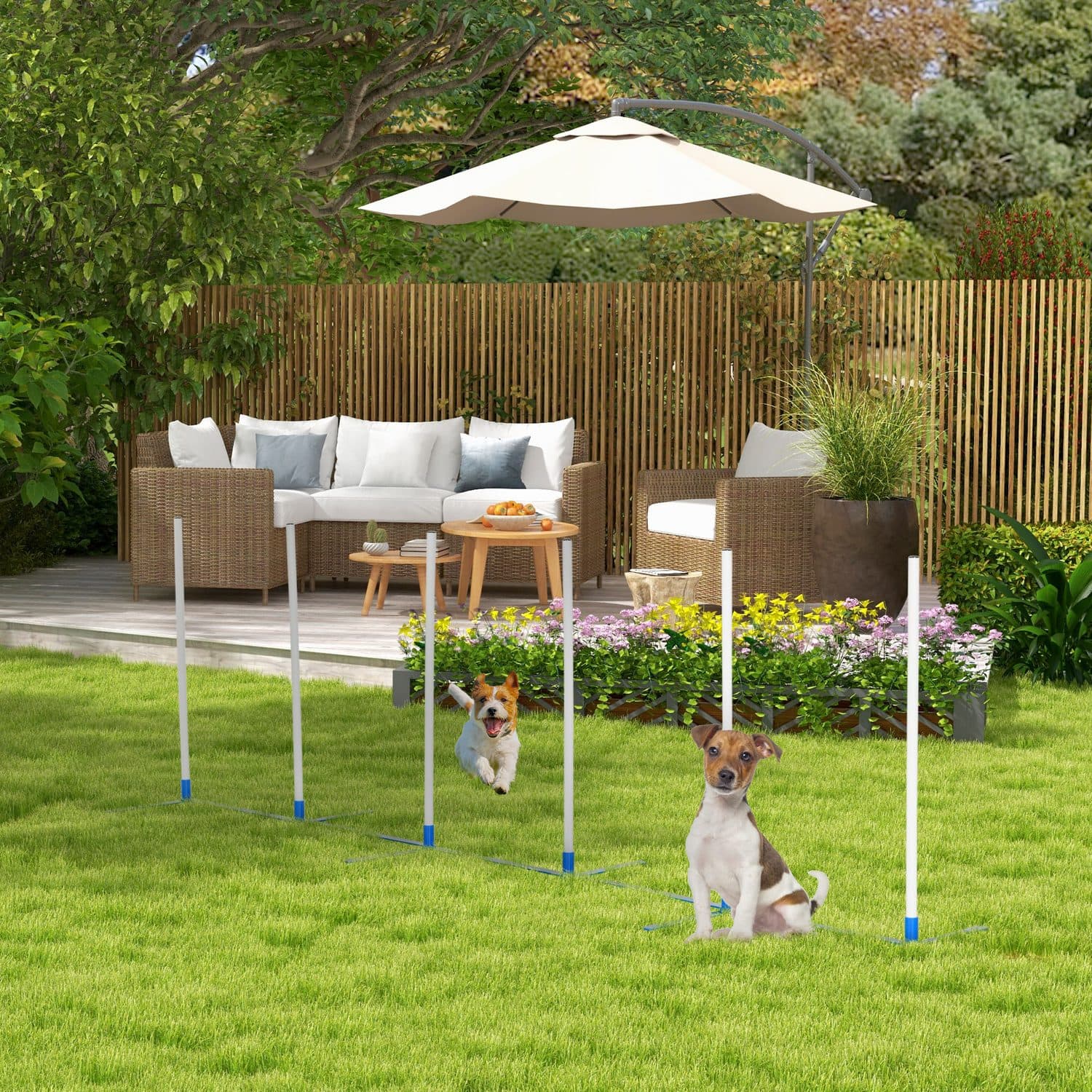 Adjustable Dog Agility Weave Pole Set - image 3
